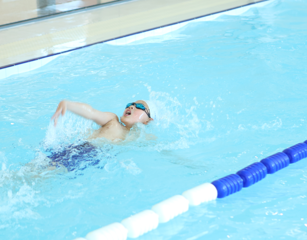 鸿运国际·(中国)集团-鸿运官网接待你