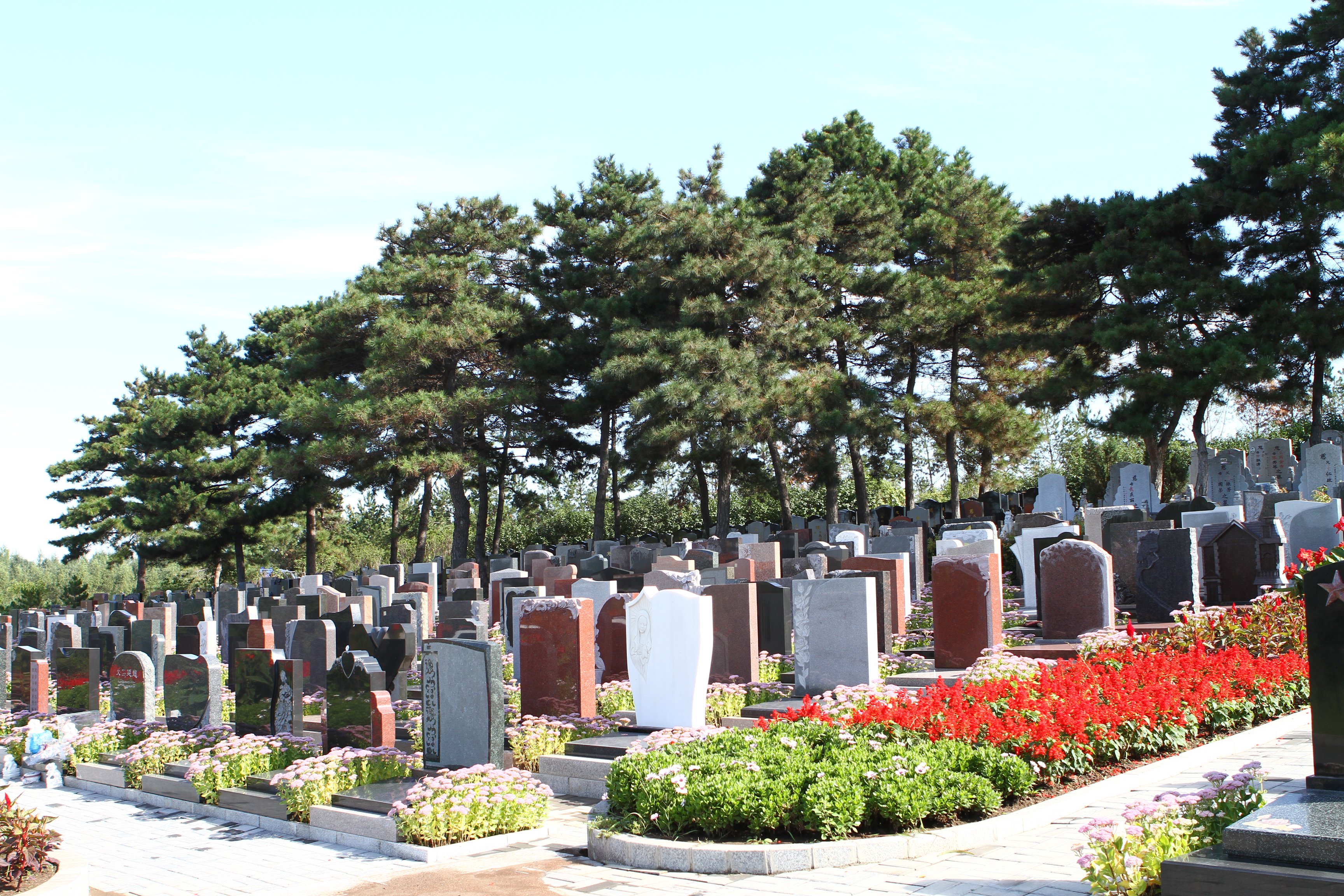 鸿运国际·(中国)集团-鸿运官网接待你