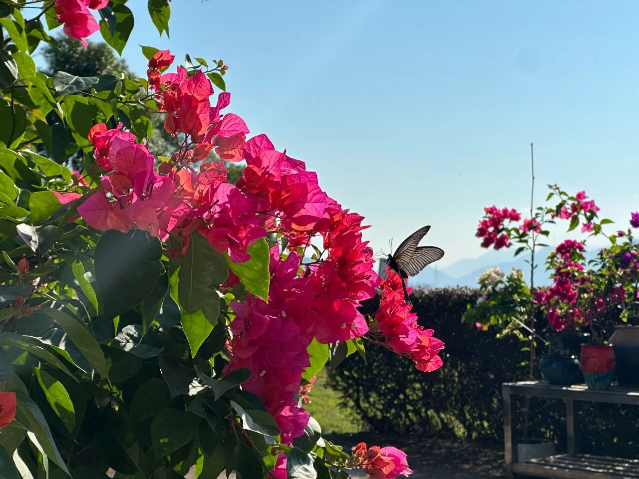 鸿运国际·(中国)集团-鸿运官网接待你