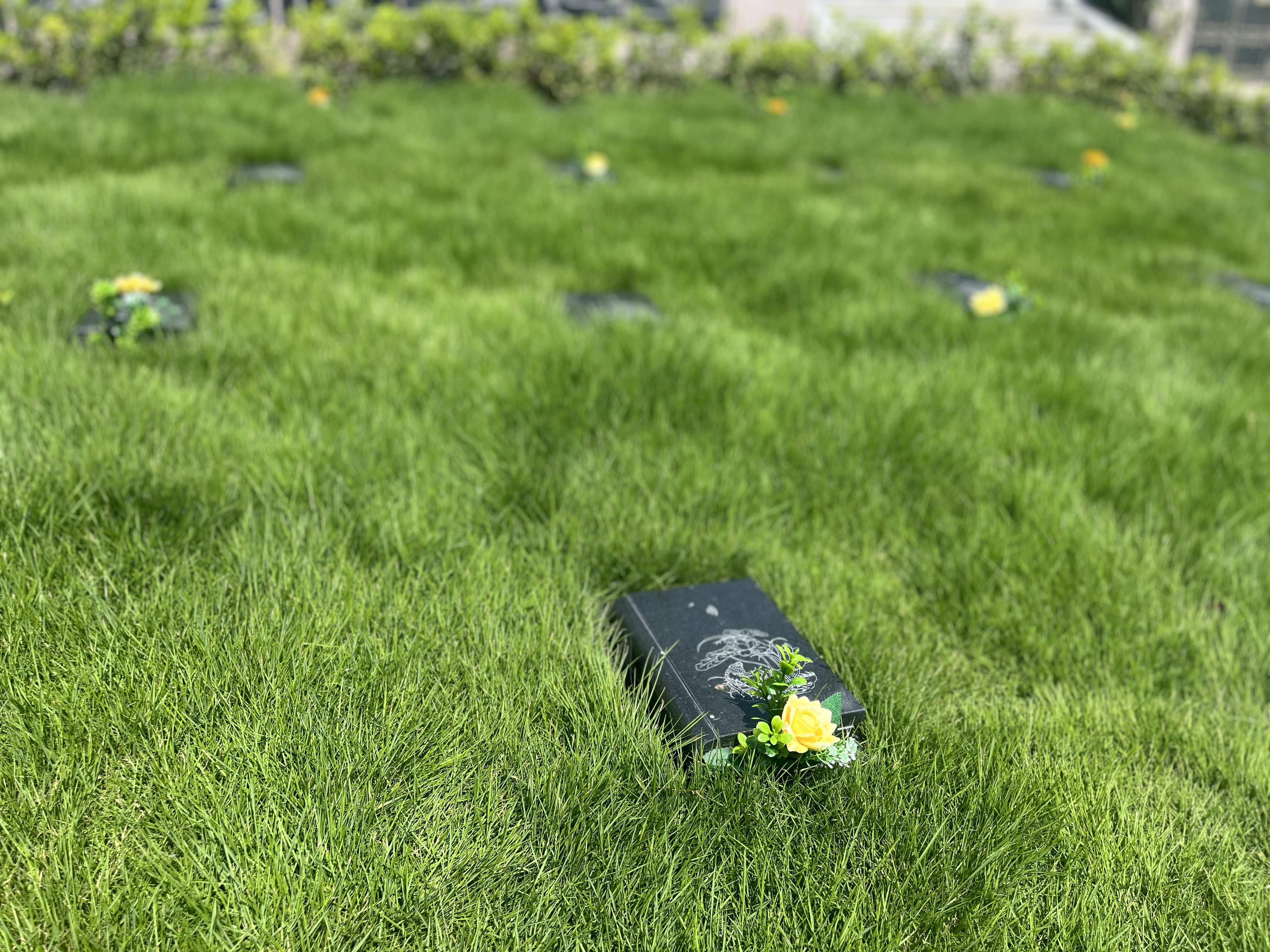 鸿运国际·(中国)集团-鸿运官网接待你