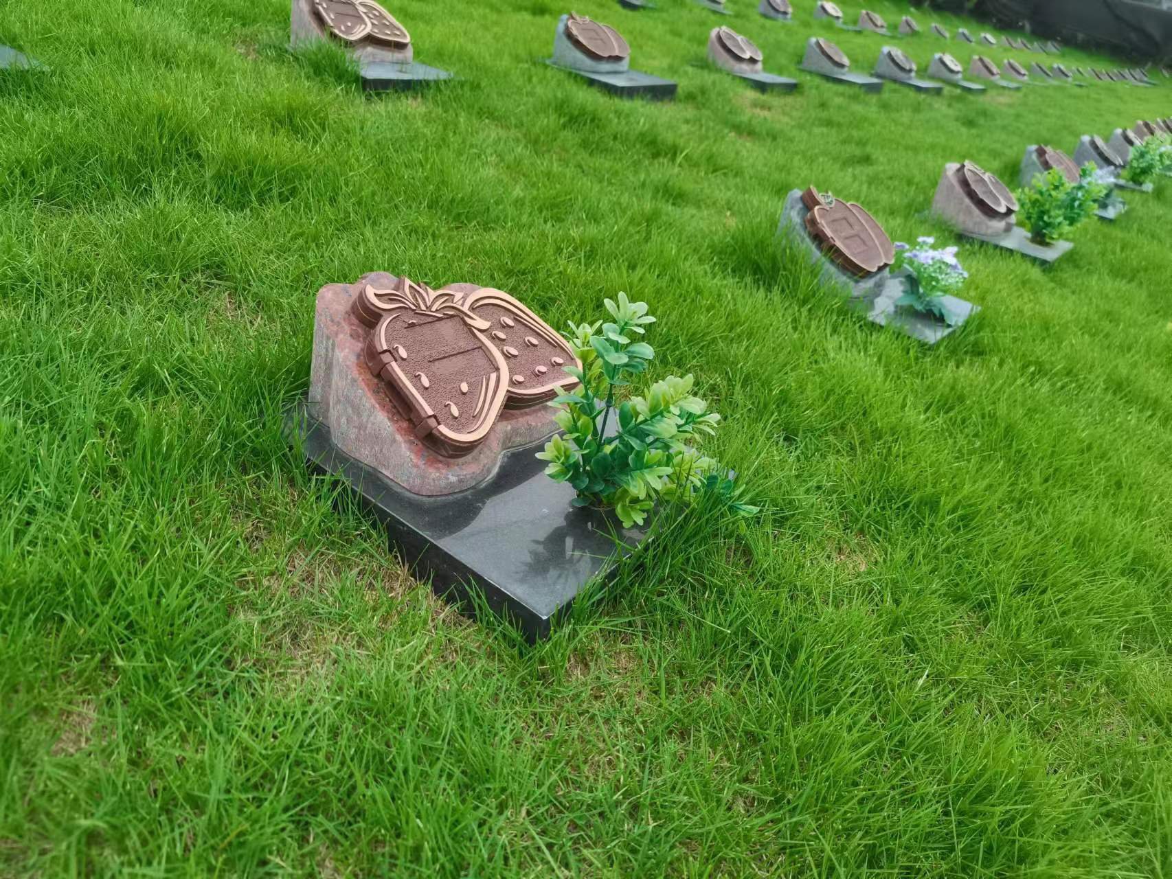 鸿运国际·(中国)集团-鸿运官网接待你