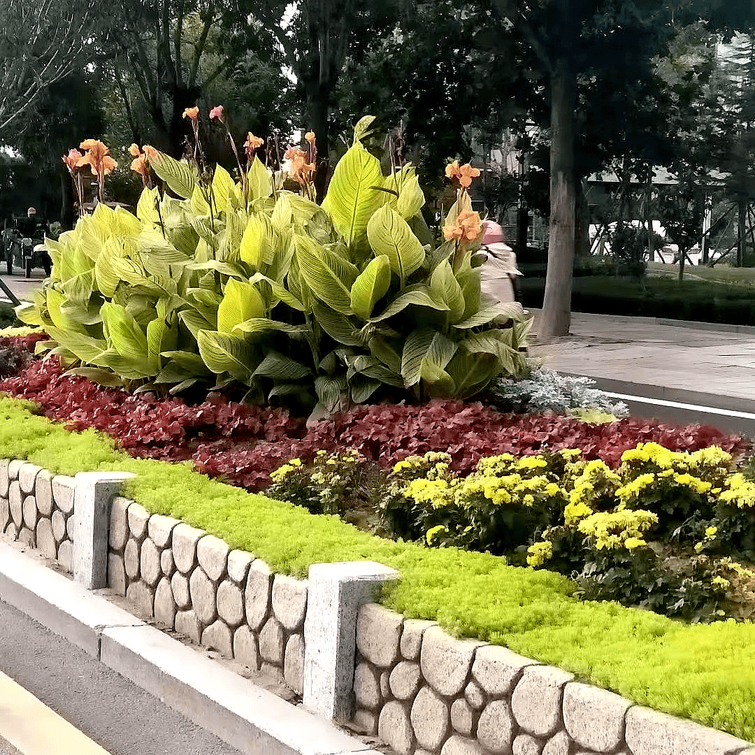 鸿运国际·(中国)集团-鸿运官网接待你