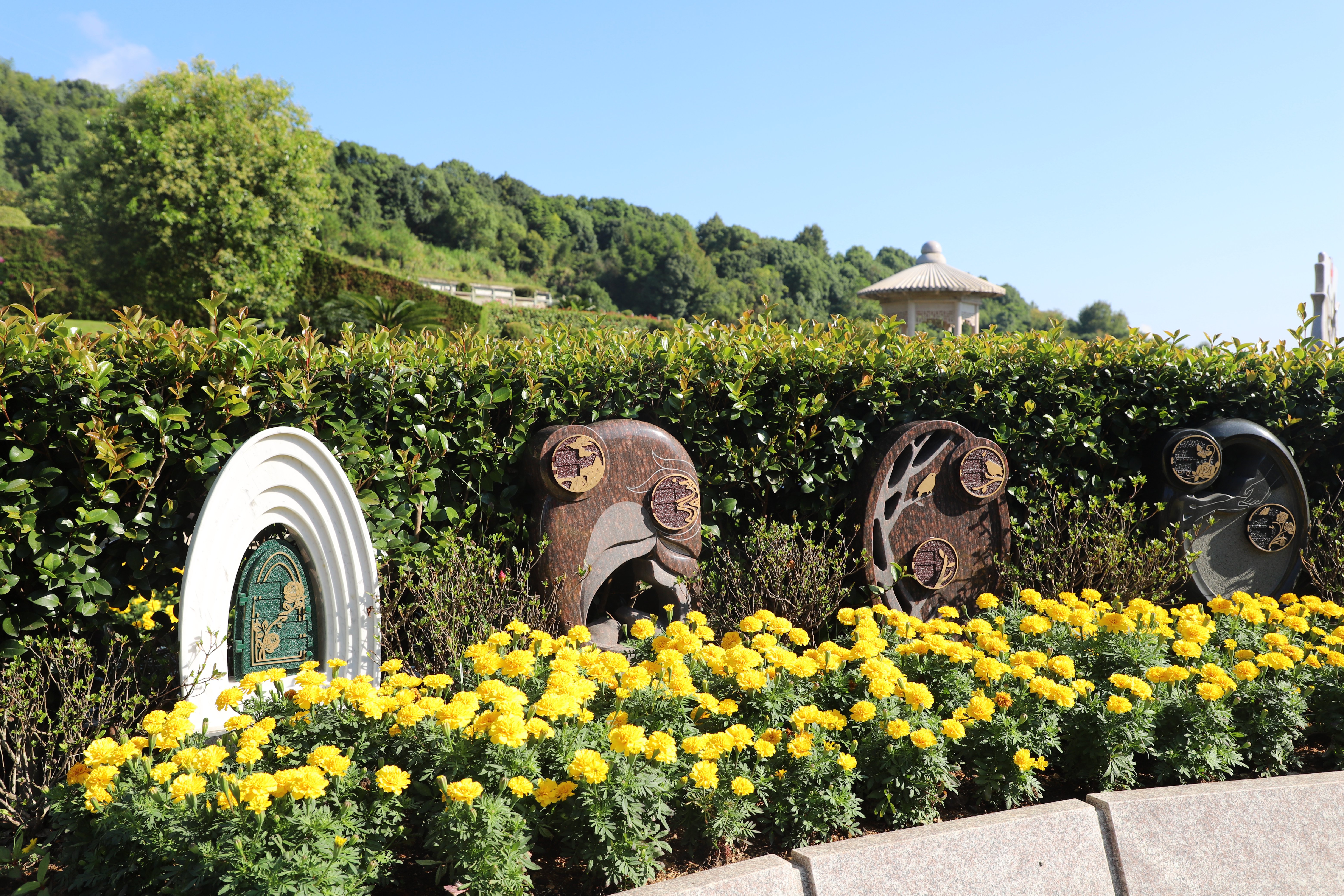 鸿运国际·(中国)集团-鸿运官网接待你