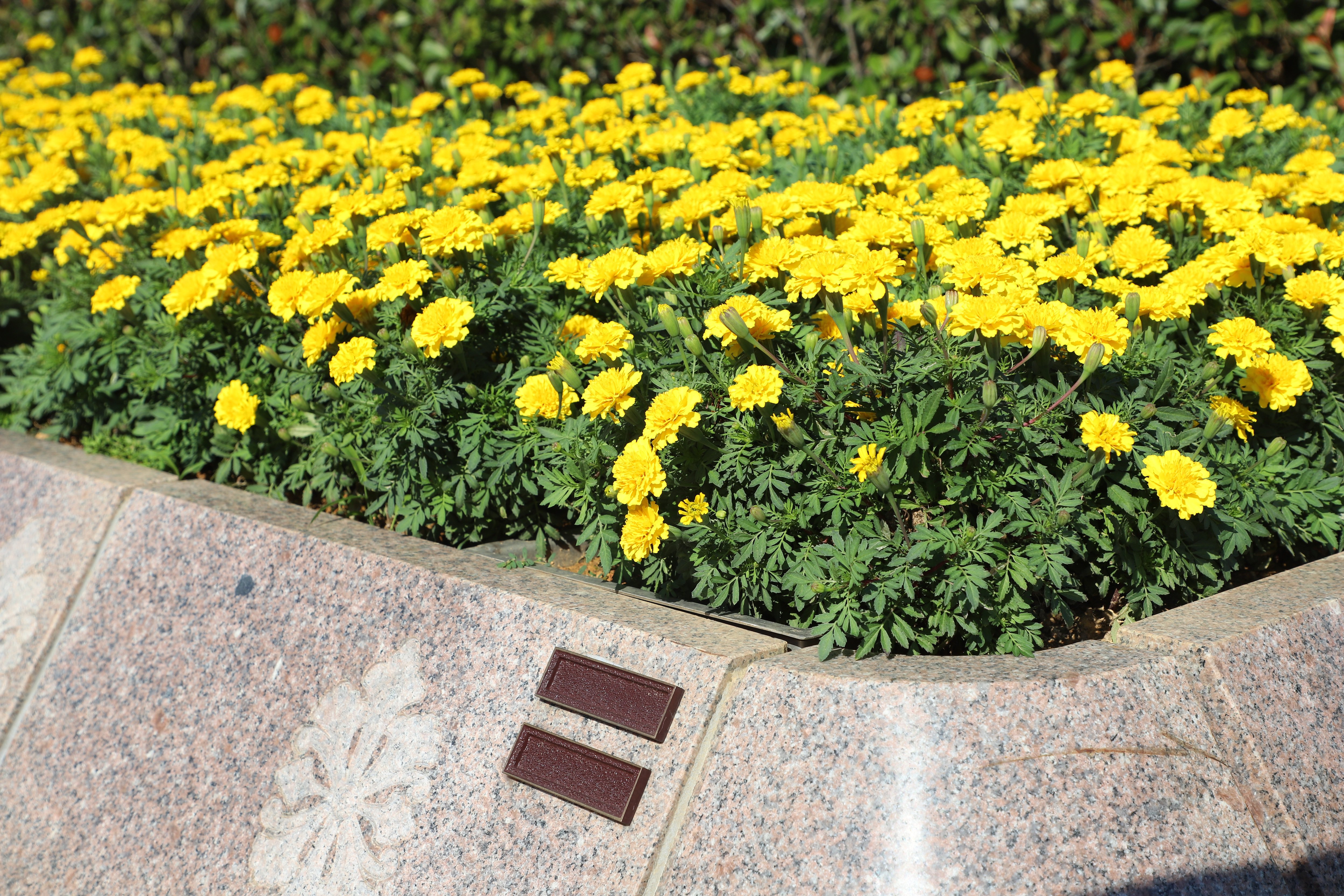 鸿运国际·(中国)集团-鸿运官网接待你